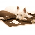 Dogorama Dog Bedding